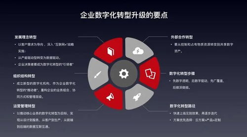 擁抱數(shù)字化轉(zhuǎn)型 數(shù)企為中小企業(yè)量身打造SaaS解決方案